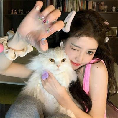 男子游泳部剧场版：最后的划水